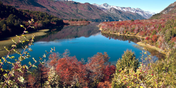 Viajes a Bariloche desde Rosario 2024.