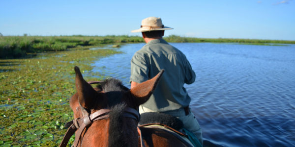 Vacaciones en Ibera en el 2024, excursiones desde Rosario