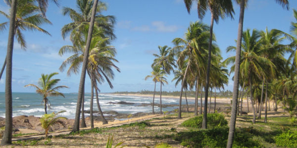 Viajes a Salvador de Bahía, All Inclusive